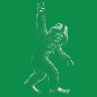 Bigfoot Rock Star Toddler Hoodie