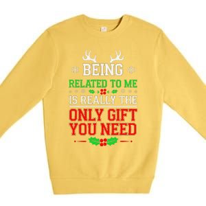 Being Related To Me Funny Christmas Family Xmas Pajamas Premium Crewneck Sweatshirt