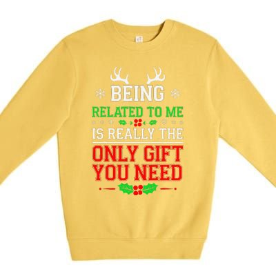 Being Related To Me Funny Christmas Family Xmas Pajamas Premium Crewneck Sweatshirt