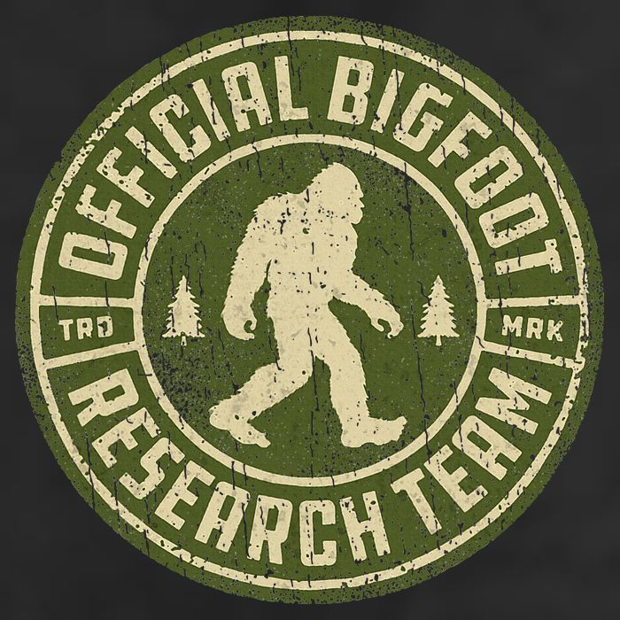 Bigfoot Research Team Retro Vintage Sasquatch Beanie