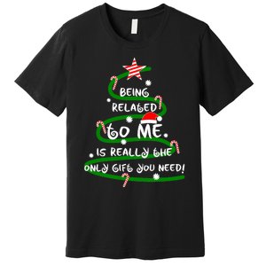 Being Related To Me Is Really The Only Gift You Need Naughty Premium T-Shirt