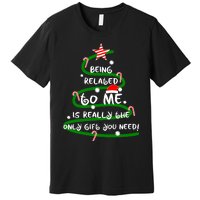 Being Related To Me Is Really The Only Gift You Need Naughty Premium T-Shirt