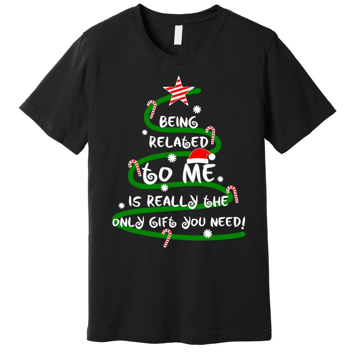 Being Related To Me Is Really The Only Gift You Need Naughty Premium T-Shirt