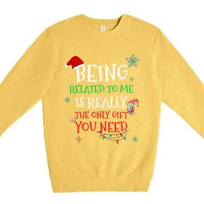 Being Related To Me Funny Christmas Family Cool Gift Premium Crewneck Sweatshirt