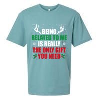 Being Related To Me Is Really The Only Gift You Need Sueded Cloud Jersey T-Shirt