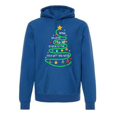 Being Related To Me Funny Christmas Pajama Great Gift Premium Hoodie