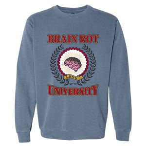 Brain Rot University Garment-Dyed Sweatshirt