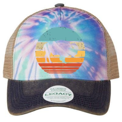 Bison Retro Vintage 60s 70s Sunset Buffalo Mammal Animal Men Legacy Tie Dye Trucker Hat