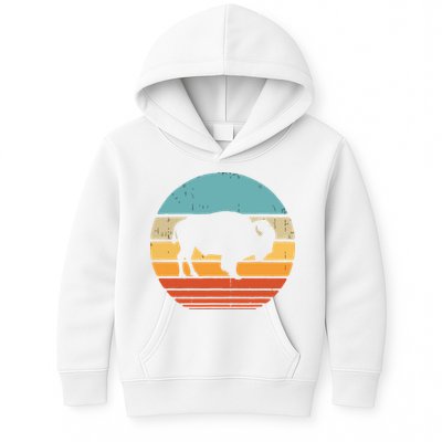 Bison Retro Vintage 60s 70s Sunset Buffalo Mammal Animal Men Kids Hoodie