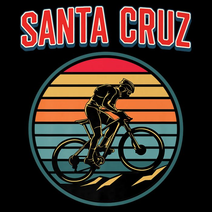 Bike Retro Vintage Santa Cruz Summer Bicycle Biking Premium Long Sleeve Shirt
