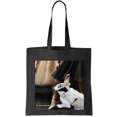 Bunny Rabbit With Ballet Dancers Bag