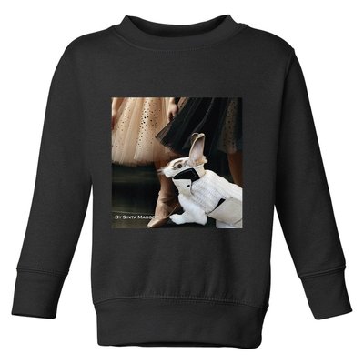 Bunny Rabbit With Ballet Dancers Toddler Sweatshirt