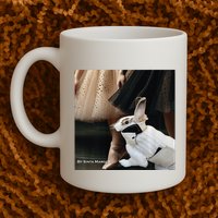 Bunny Rabbit With Ballet Dancers Mug