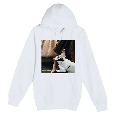 Bunny Rabbit With Ballet Dancers Premium Pullover Hoodie