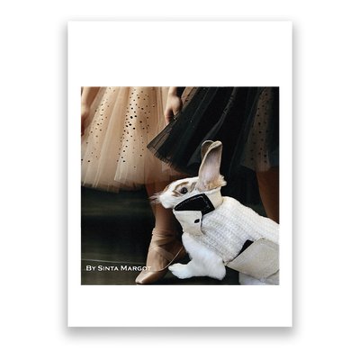 Bunny Rabbit With Ballet Dancers Poster