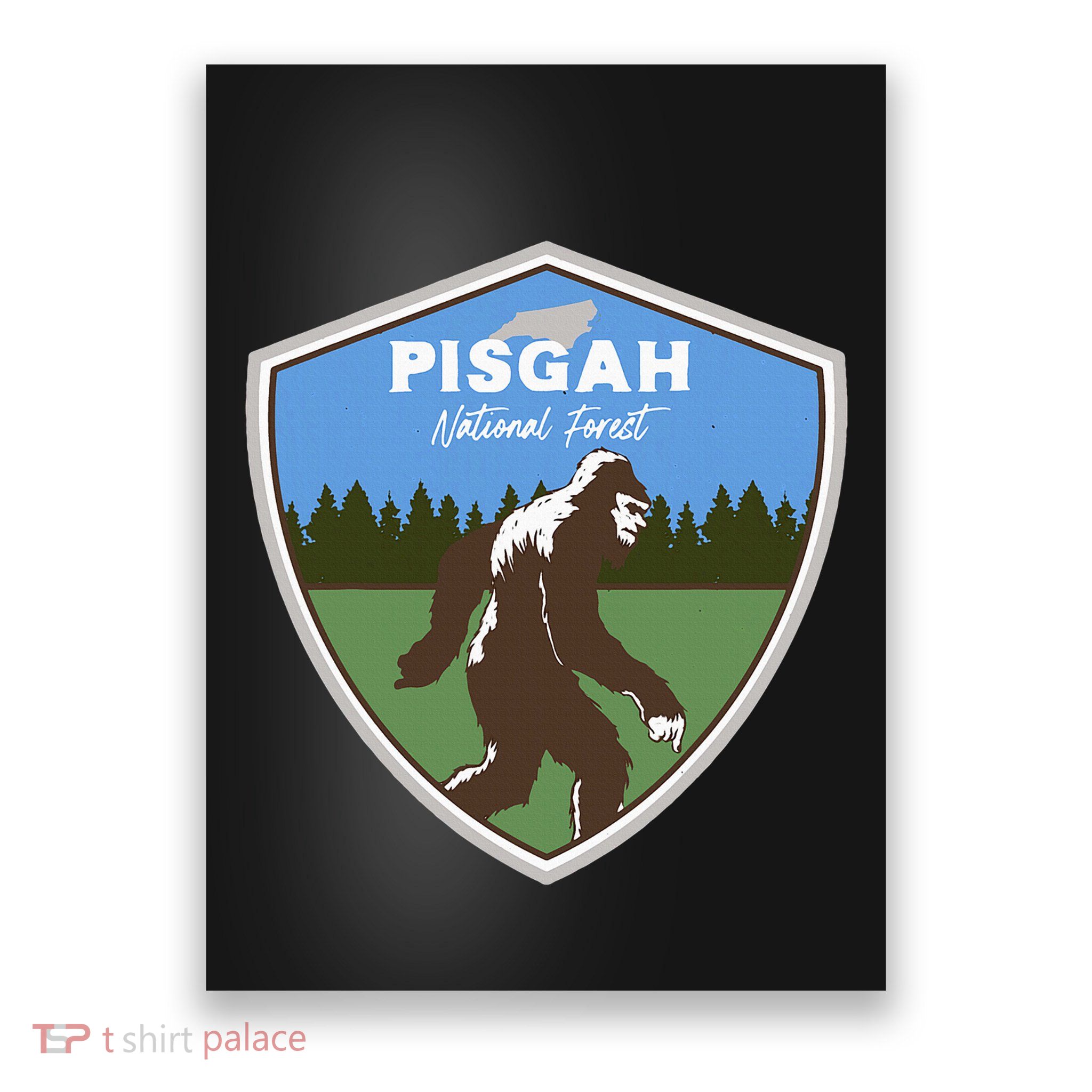 Bigfoot Sighting At Pisgah National Forest North Carolina Poster