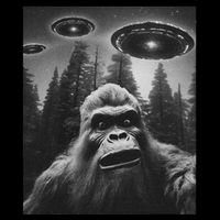 Bigfoot Sasquatch Alien Ufo Zip Tote Bag