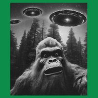 Bigfoot Sasquatch Alien Ufo Sweatshirt