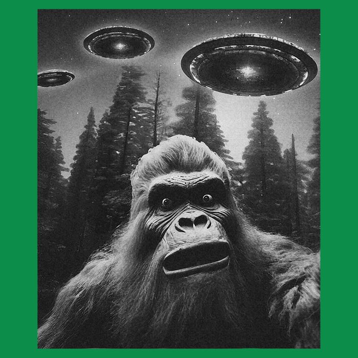 Bigfoot Sasquatch Alien Ufo Sweatshirt