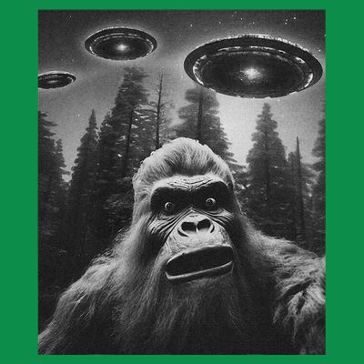 Bigfoot Sasquatch Alien Ufo T-Shirt