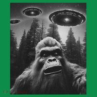 Bigfoot Sasquatch Alien Ufo Premium T-Shirt