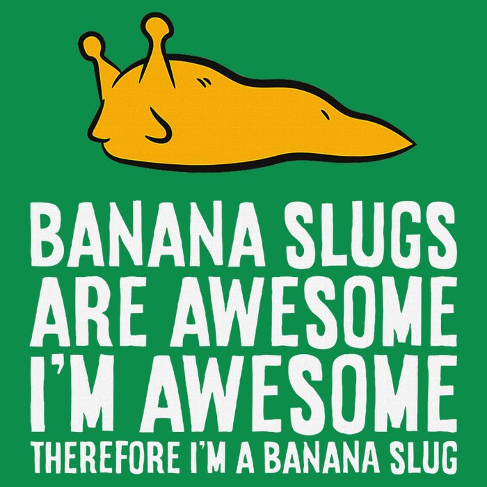 B.A.N.A.N.A Slugs Are Awesome Therefore Im A Banana Slug Toddler Hoodie