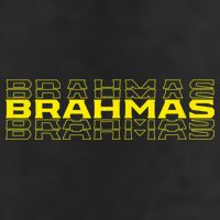 Brahmas San Antonio Football Tailgate 7 Panel Mesh Trucker Snapback Hat