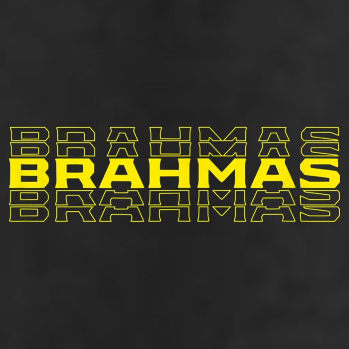 Brahmas San Antonio Football Tailgate 7 Panel Mesh Trucker Snapback Hat