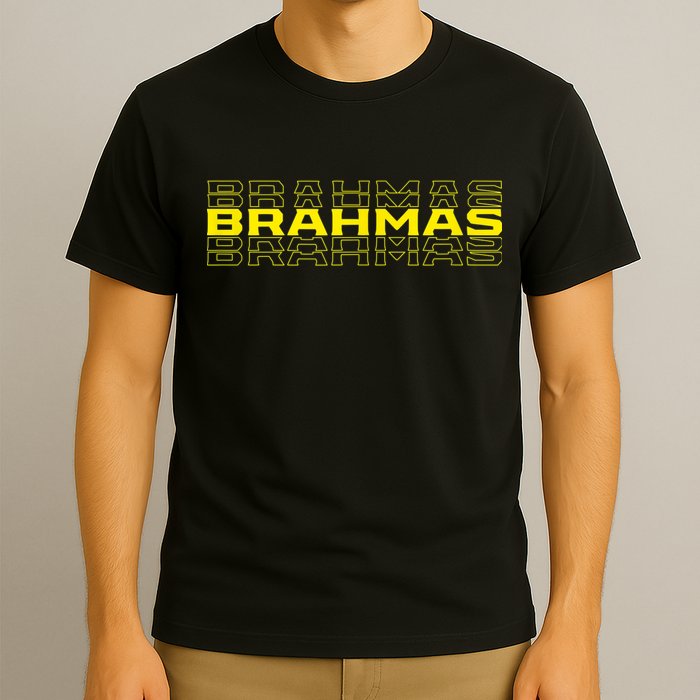 Brahmas San Antonio Football Tailgate T-Shirt