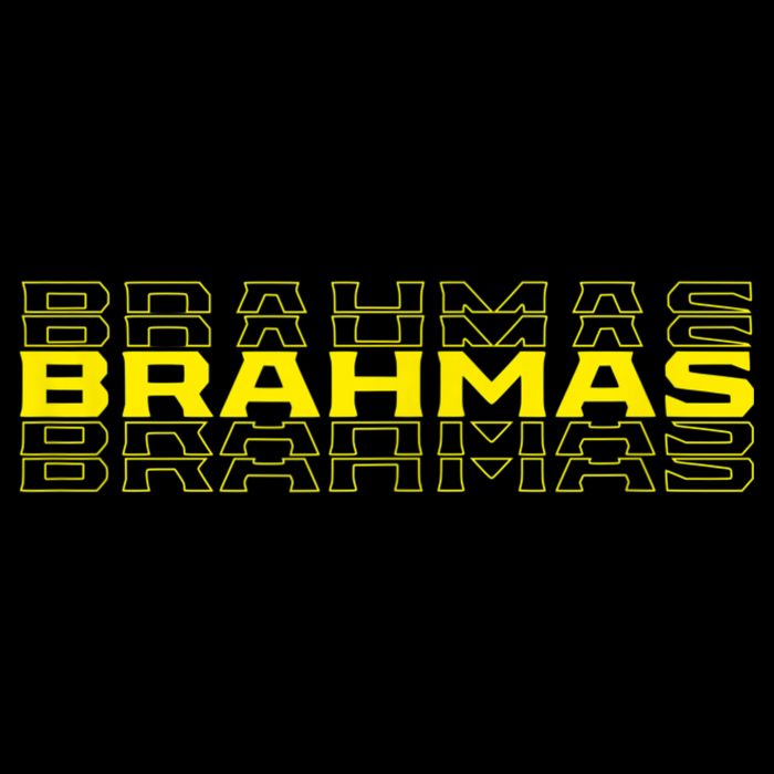 Brahmas San Antonio Football Tailgate T-Shirt