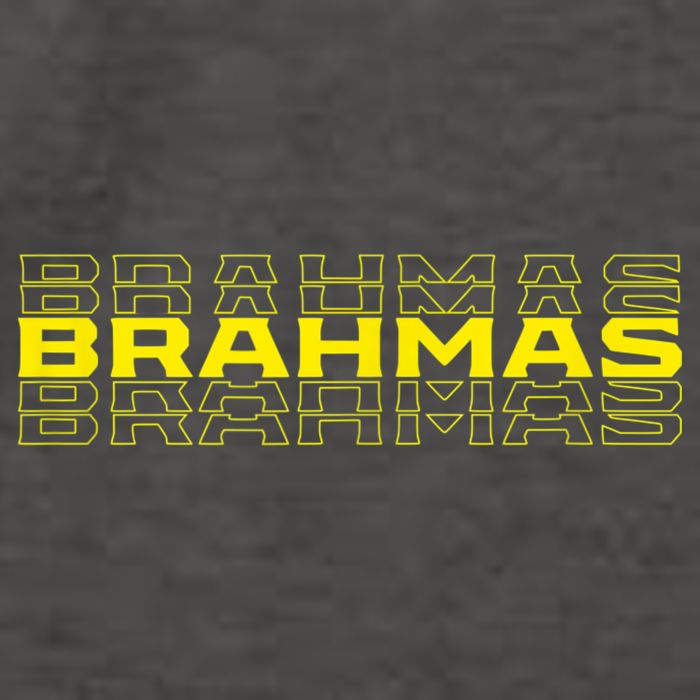 Brahmas San Antonio Football Tailgate Vector Backpack