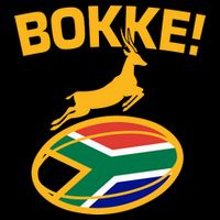 Bokke South African Rugby Fan 16 in Basic Backpack