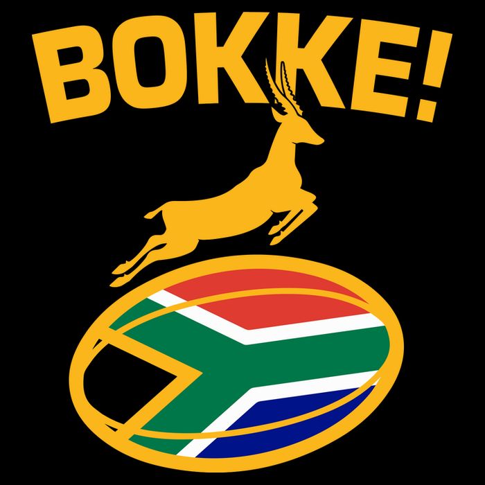 Bokke South African Rugby Fan 16 in Basic Backpack