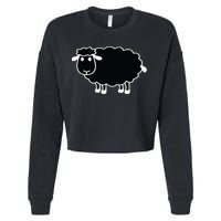 Black Sheep Cropped Pullover Crew