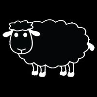 Black Sheep Cropped Pullover Crew