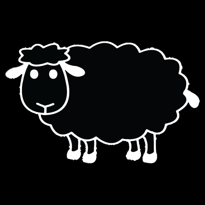 Black Sheep Cropped Pullover Crew