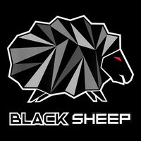 Black Sheep Toddler T-Shirt