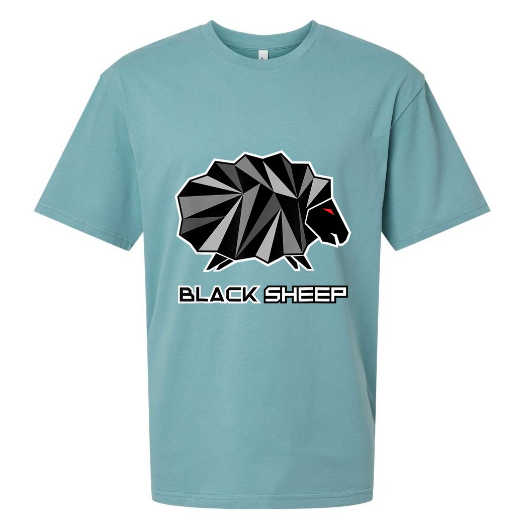 Black Sheep Sueded Cloud Jersey T-Shirt