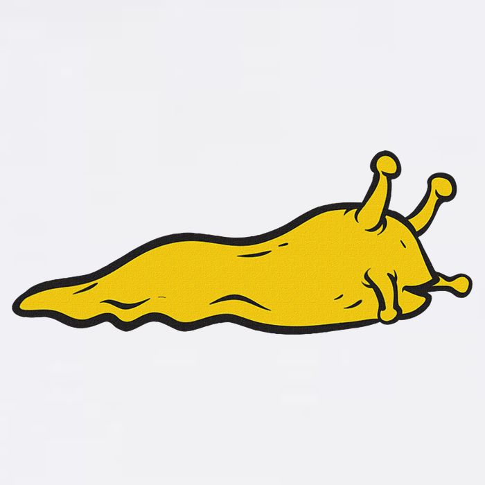 Banana Slug Hoodie