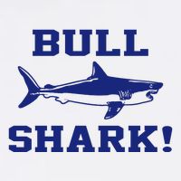 Bull Shark Cropped Pullover Crew