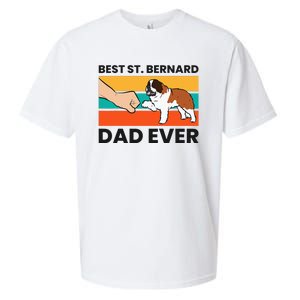 Best Saint Bernard Dad Ever Funny St. Bernard Sueded Cloud Jersey T-Shirt