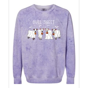 Bull Sheet Boo Ghost Cow Halloween Funny Bull Sheet Cows Funny Gift Colorblast Crewneck Sweatshirt