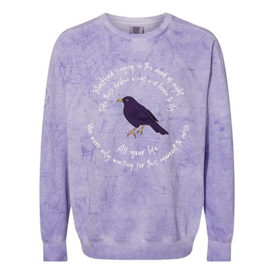 Blackbird Singing Bird Wings Microphone Singer Lyrics Artist Colorblast Crewneck Sweatshirt