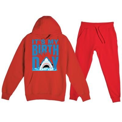 Blue Shark Birthday Shark Bite Its My Birthday Premium Hooded Sweatsuit Set