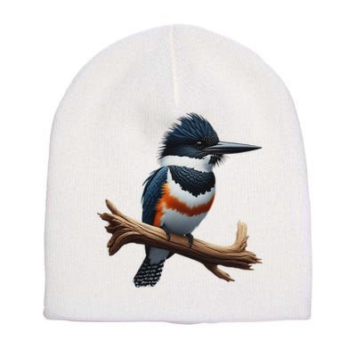 Bird Series. Belted Kingfisher Bird. ArtistS Rendition. Short Acrylic Beanie