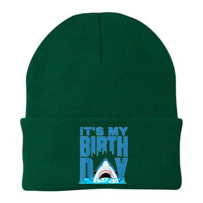 Blue Shark Birthday Shark Bite Its My Birthday Knit Cap Winter Beanie