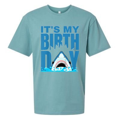 Blue Shark Birthday Shark Bite Its My Birthday Sueded Cloud Jersey T-Shirt