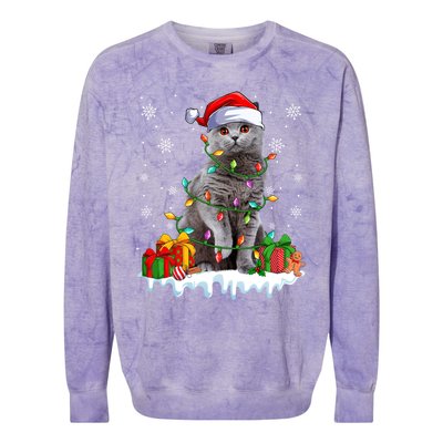 British Shorthair Cat Xmas Light Christmas Kitten Lover Funny Gift Colorblast Crewneck Sweatshirt