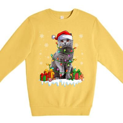 British Shorthair Cat Xmas Light Christmas Kitten Lover Funny Gift Premium Crewneck Sweatshirt