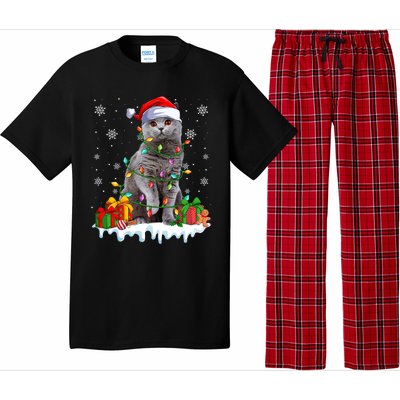 British Shorthair Cat Xmas Light Christmas Kitten Lover Funny Gift Pajama Set